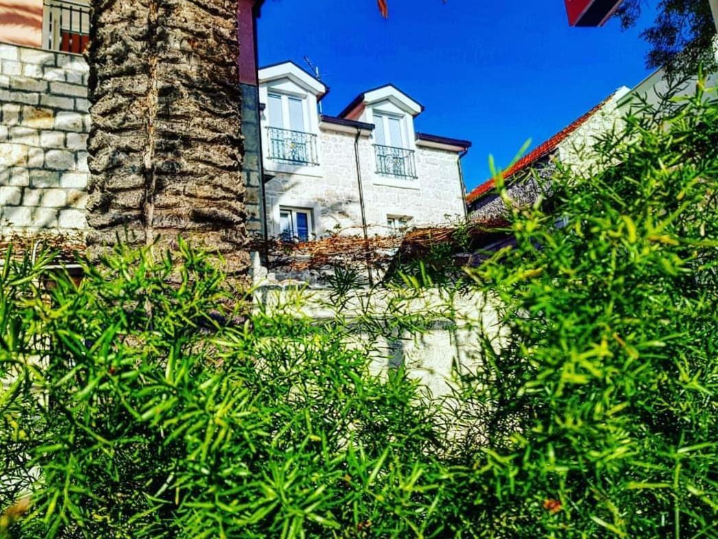 Apartmani Marina Gradac Gradac  Exteriér fotografie