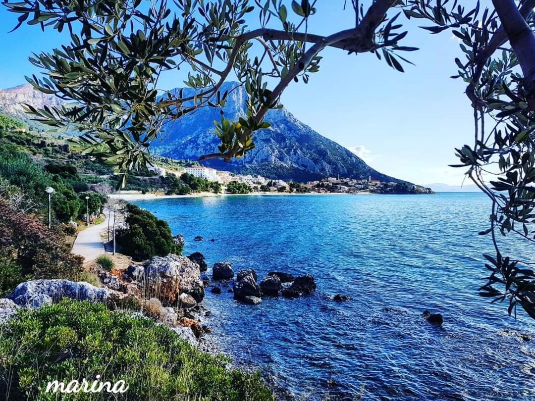 Apartmani Marina Gradac Gradac  Exteriér fotografie