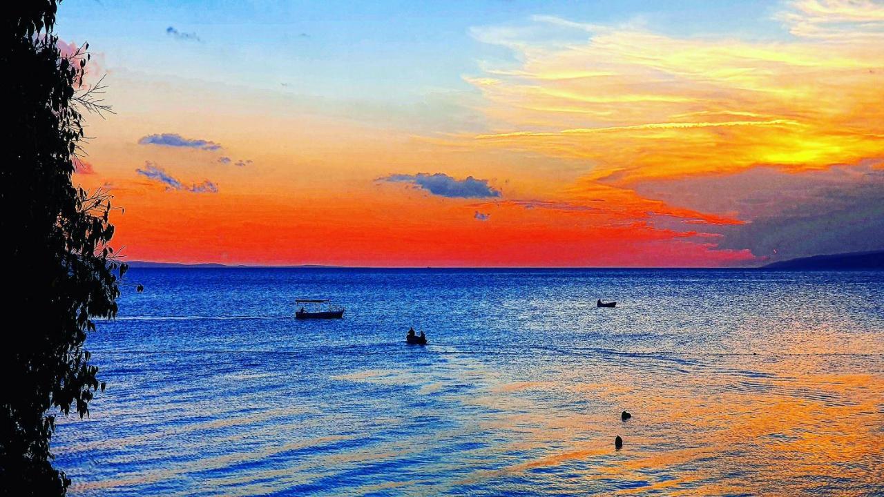 Apartmani Marina Gradac Gradac  Exteriér fotografie