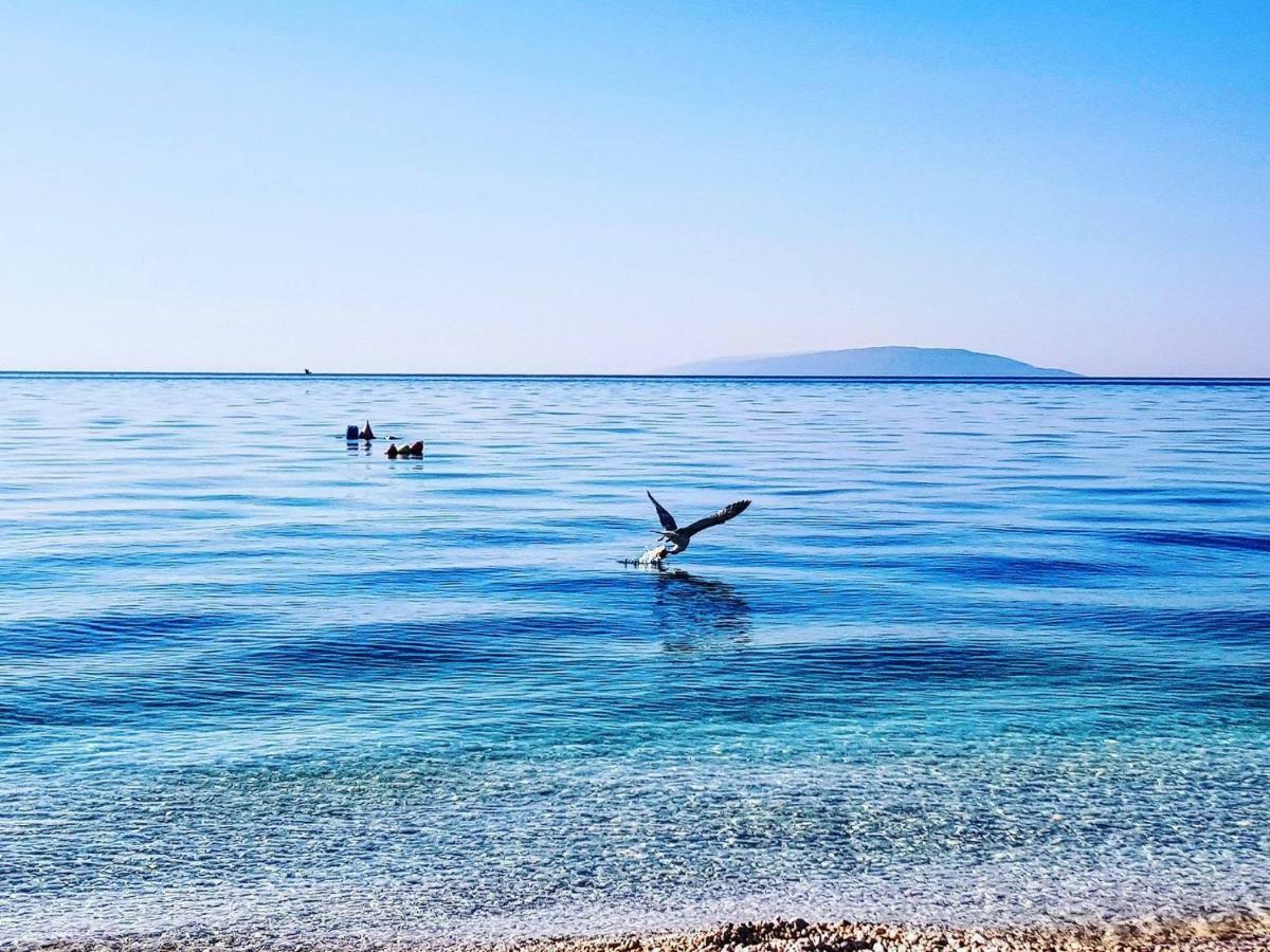 Apartmani Marina Gradac Gradac  Exteriér fotografie